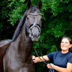 paard in zichzelf gekeerd