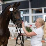 bokken paard