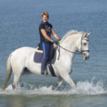 paard is onrustig