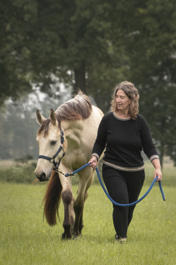 paard hinnikt veel