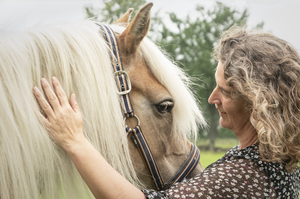 paard onrustig met hoofd
